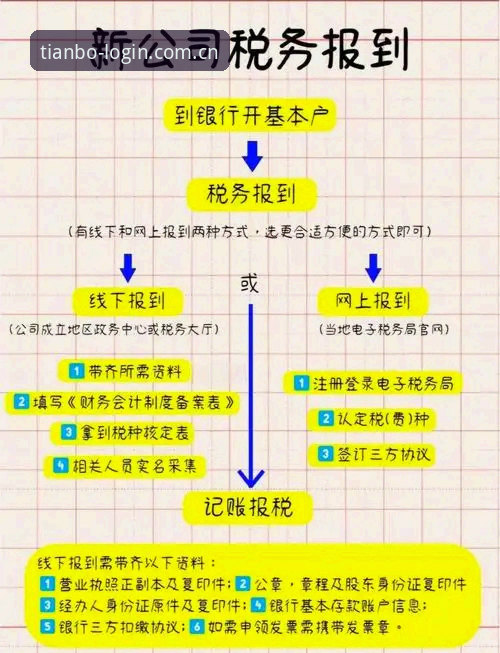 天博沉浸式体验教程详解：从入门到精通的全流程指南